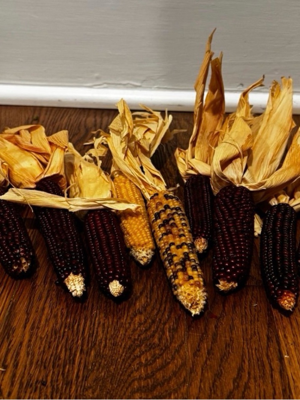Decorative Indian Corn Bundle - Yellow & Dark Brown